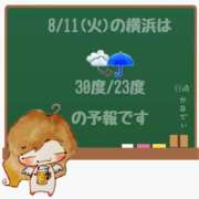 ヒメ日記 2026/08/11 05:00 投稿 かなで 角海老石亭