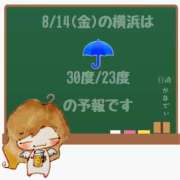 ヒメ日記 2026/08/14 05:00 投稿 かなで 角海老石亭
