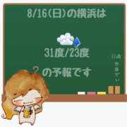 ヒメ日記 2026/08/16 05:00 投稿 かなで 角海老石亭