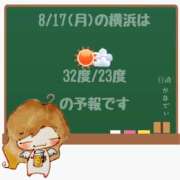 ヒメ日記 2026/08/17 05:00 投稿 かなで 角海老石亭