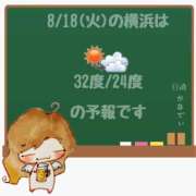 ヒメ日記 2026/08/18 05:00 投稿 かなで 角海老石亭