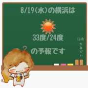 ヒメ日記 2026/08/19 05:00 投稿 かなで 角海老石亭