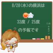 ヒメ日記 2026/08/20 05:00 投稿 かなで 角海老石亭