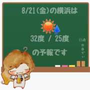 ヒメ日記 2026/08/21 05:00 投稿 かなで 角海老石亭
