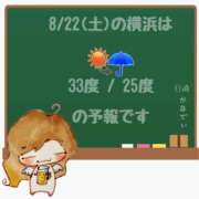 ヒメ日記 2026/08/22 05:00 投稿 かなで 角海老石亭