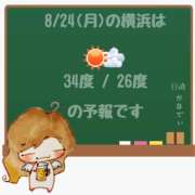 ヒメ日記 2026/08/24 05:00 投稿 かなで 角海老石亭