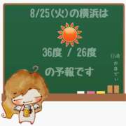 ヒメ日記 2026/08/25 05:00 投稿 かなで 角海老石亭