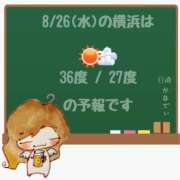 ヒメ日記 2026/08/26 05:00 投稿 かなで 角海老石亭