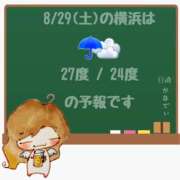 ヒメ日記 2026/08/29 05:00 投稿 かなで 角海老石亭