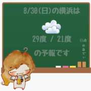 ヒメ日記 2026/08/30 05:00 投稿 かなで 角海老石亭