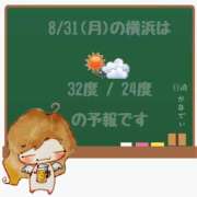 ヒメ日記 2026/08/31 05:00 投稿 かなで 角海老石亭