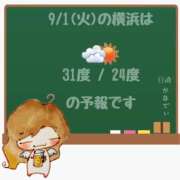 ヒメ日記 2026/09/01 05:00 投稿 かなで 角海老石亭