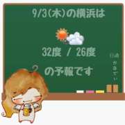 ヒメ日記 2026/09/03 05:00 投稿 かなで 角海老石亭