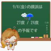 ヒメ日記 2026/09/04 05:00 投稿 かなで 角海老石亭