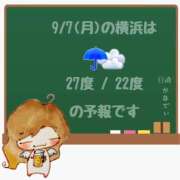 ヒメ日記 2026/09/07 05:00 投稿 かなで 角海老石亭