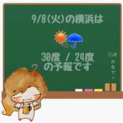 ヒメ日記 2026/09/08 05:00 投稿 かなで 角海老石亭