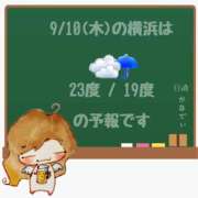 ヒメ日記 2026/09/10 05:00 投稿 かなで 角海老石亭