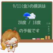 ヒメ日記 2026/09/11 05:00 投稿 かなで 角海老石亭