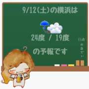 ヒメ日記 2026/09/12 05:00 投稿 かなで 角海老石亭