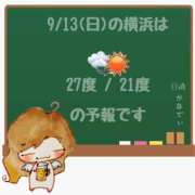ヒメ日記 2026/09/13 05:00 投稿 かなで 角海老石亭