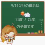 ヒメ日記 2026/09/14 05:00 投稿 かなで 角海老石亭