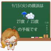 ヒメ日記 2026/09/15 05:00 投稿 かなで 角海老石亭