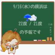 ヒメ日記 2026/09/16 05:00 投稿 かなで 角海老石亭