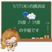 ヒメ日記 2026/09/17 05:00 投稿 かなで 角海老石亭