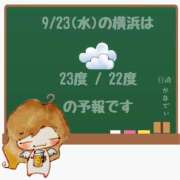 ヒメ日記 2026/09/23 05:00 投稿 かなで 角海老石亭