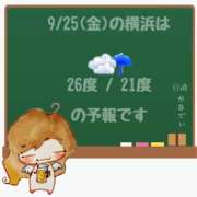 ヒメ日記 2026/09/25 05:00 投稿 かなで 角海老石亭
