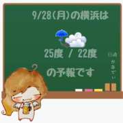 ヒメ日記 2026/09/28 05:00 投稿 かなで 角海老石亭