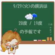 ヒメ日記 2026/09/29 05:00 投稿 かなで 角海老石亭