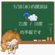 ヒメ日記 2026/09/30 05:00 投稿 かなで 角海老石亭