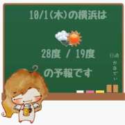 ヒメ日記 2026/10/01 05:00 投稿 かなで 角海老石亭