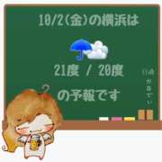 ヒメ日記 2026/10/02 05:00 投稿 かなで 角海老石亭