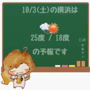 ヒメ日記 2026/10/03 05:00 投稿 かなで 角海老石亭