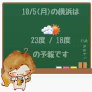 ヒメ日記 2026/10/05 05:00 投稿 かなで 角海老石亭