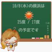 ヒメ日記 2026/10/08 05:00 投稿 かなで 角海老石亭