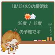 ヒメ日記 2026/10/13 05:00 投稿 かなで 角海老石亭