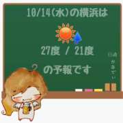 ヒメ日記 2026/10/14 05:00 投稿 かなで 角海老石亭