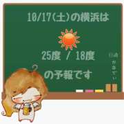 ヒメ日記 2026/10/17 05:00 投稿 かなで 角海老石亭