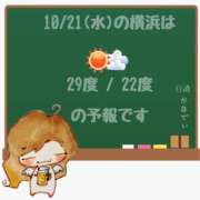 ヒメ日記 2026/10/21 05:00 投稿 かなで 角海老石亭