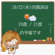 ヒメ日記 2026/10/22 05:00 投稿 かなで 角海老石亭