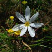 ヒメ日記 2025/08/29 17:00 投稿 まりか 角海老石亭