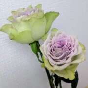 ヒメ日記 2025/08/31 17:00 投稿 まりか 角海老石亭