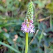 ヒメ日記 2025/09/02 17:00 投稿 まりか 角海老石亭