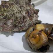 ヒメ日記 2025/09/06 18:30 投稿 まりか 角海老石亭