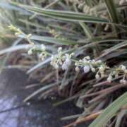 ヒメ日記 2025/09/14 17:00 投稿 まりか 角海老石亭