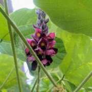 ヒメ日記 2025/09/16 17:00 投稿 まりか 角海老石亭