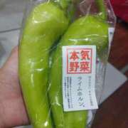 ヒメ日記 2025/09/20 18:30 投稿 まりか 角海老石亭